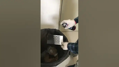 La pintura de espray de acrílico para interior y el uso al aire libre varía temperatura de uso