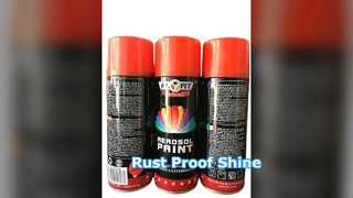 PLYFIT Pintura en Spray Antioxidante Alto Brillo 400ml